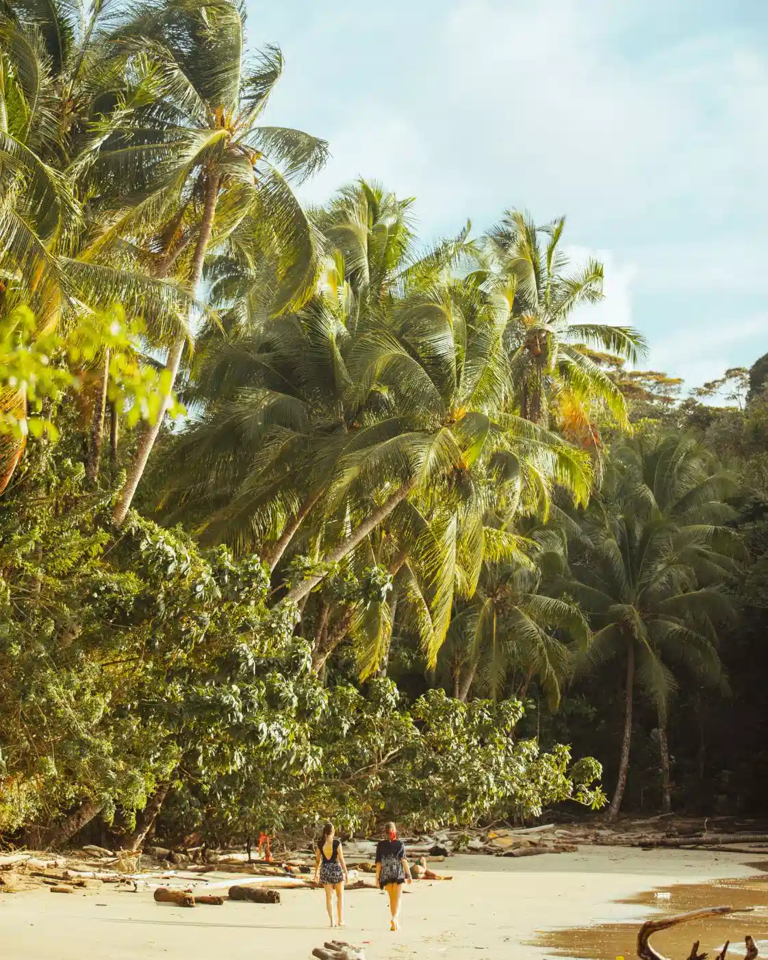 Avistamiento-de-ballenas (4)-oliverio-tours-naturaleza-cali-colombia-valle-del-cauca-2026-juli