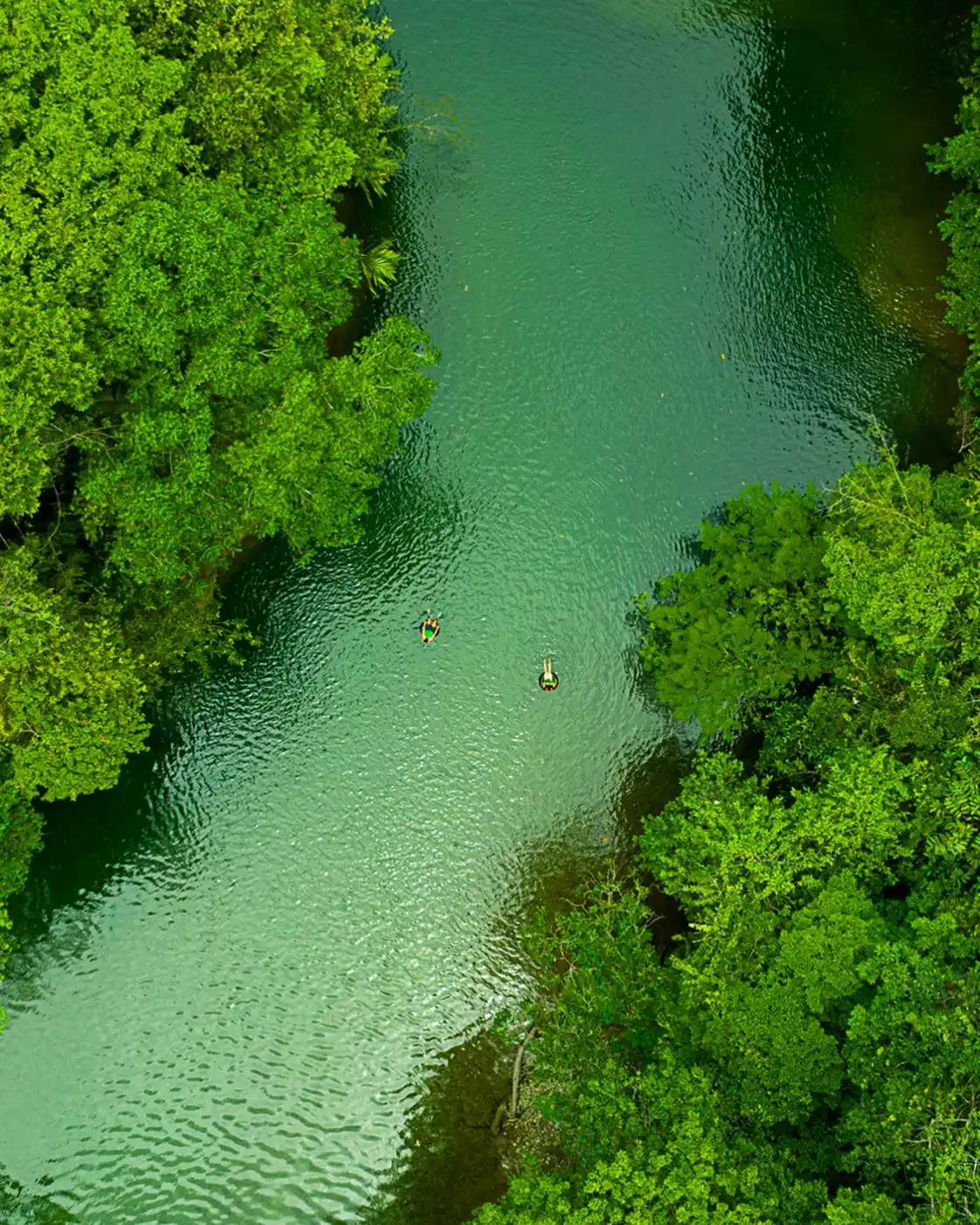 San-cipriano (2)-oliverio-tours-naturaleza-cali-colombia-valle-del-cauca-2026-juli