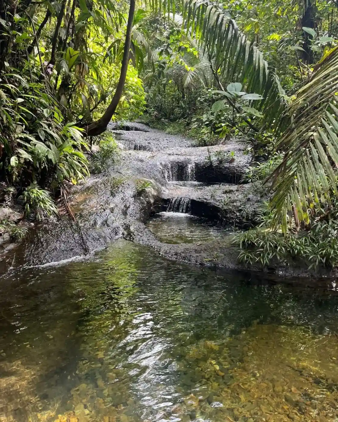 San-cipriano (3)-oliverio-tours-naturaleza-cali-colombia-valle-del-cauca-2026-juli