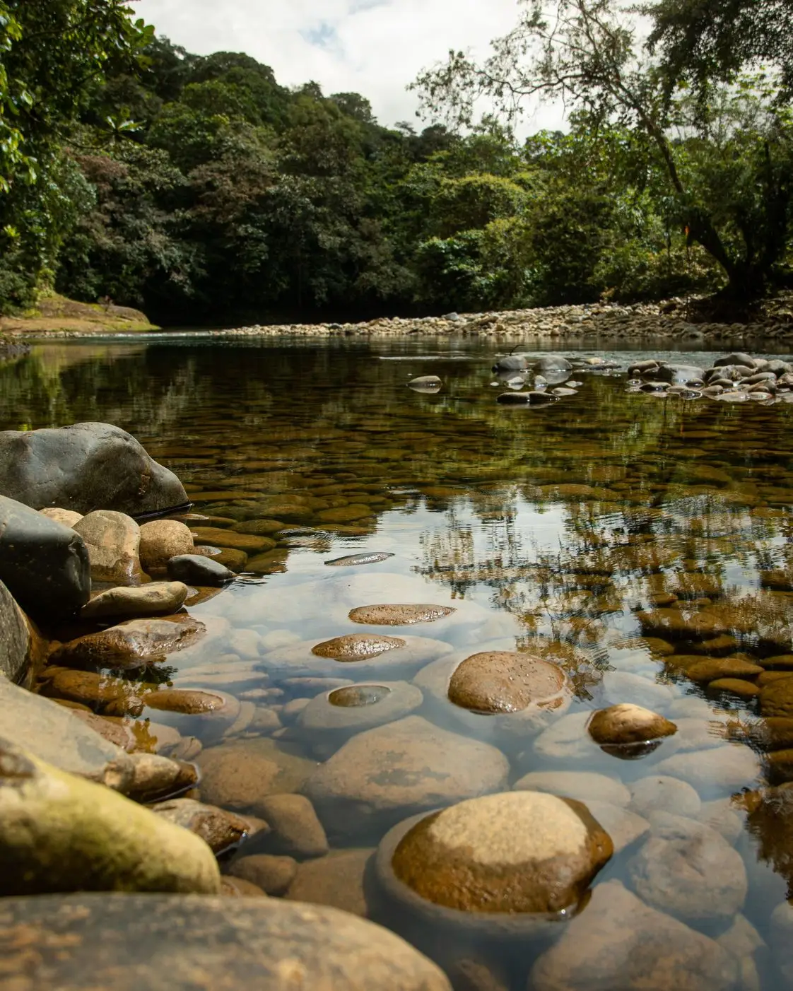 San-cipriano (5)-oliverio-tours-naturaleza-cali-colombia-valle-del-cauca-2026-juli