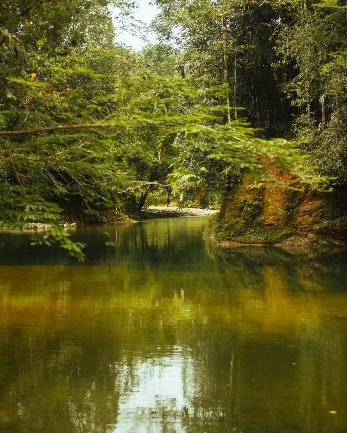San-cipriano (7)-oliverio-tours-naturaleza-cali-colombia-valle-del-cauca-2026-juli