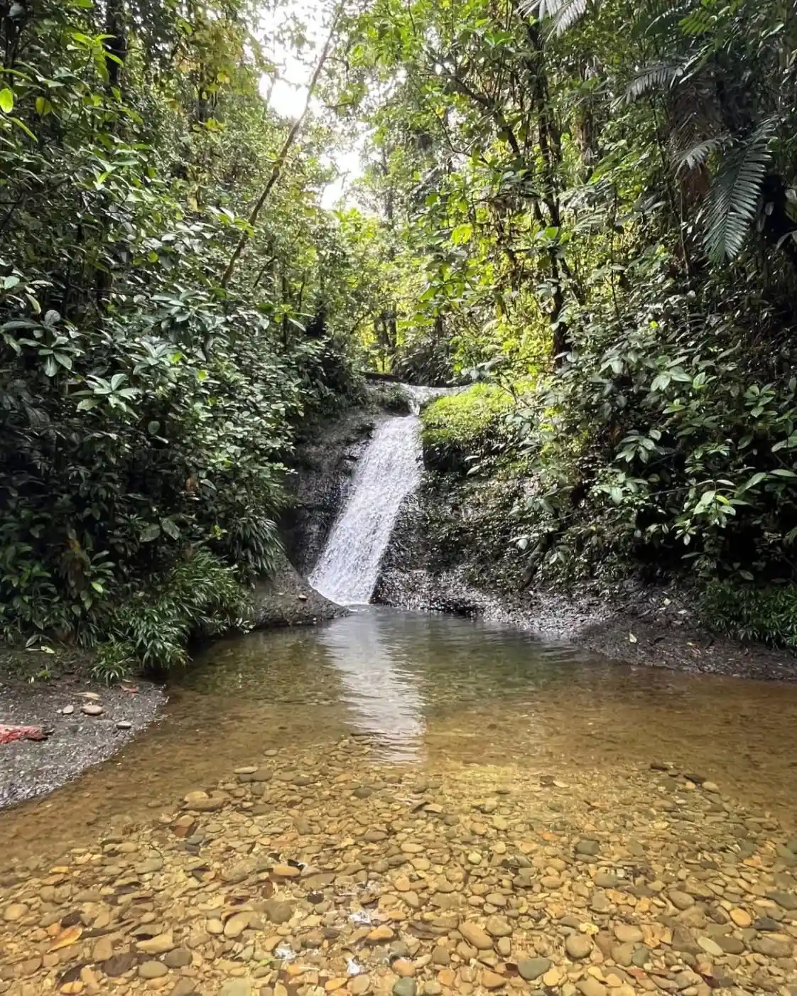San-cipriano-oliverio-tours-naturaleza-cali-colombia-valle-del-cauca-2026-juli